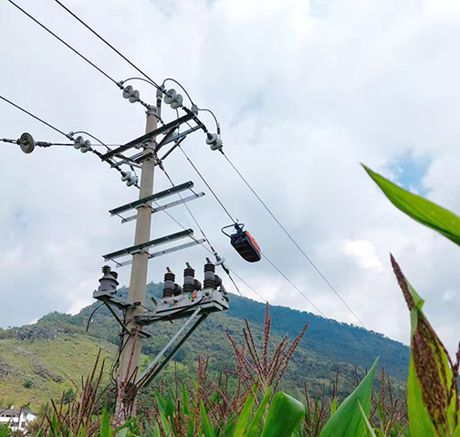 解決農(nóng)業(yè)生產(chǎn)區(qū)域觸電安全隱患，沒(méi)問(wèn)題！