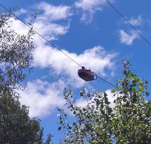 云南臨滄樹(shù)線矛盾線路絕緣涂覆處理