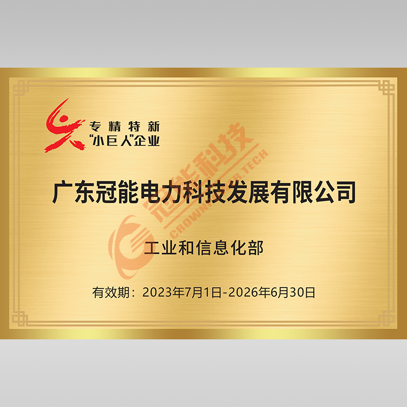 國家專精特新“小巨人”企業(yè)