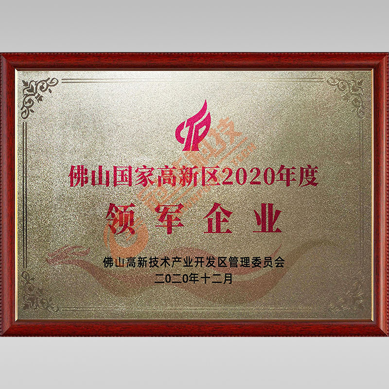 國家高新區(qū)2020年度領軍企業(yè)