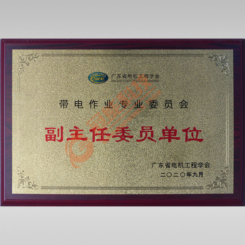 帶電作業(yè)專業(yè)委員會副主任委員單位