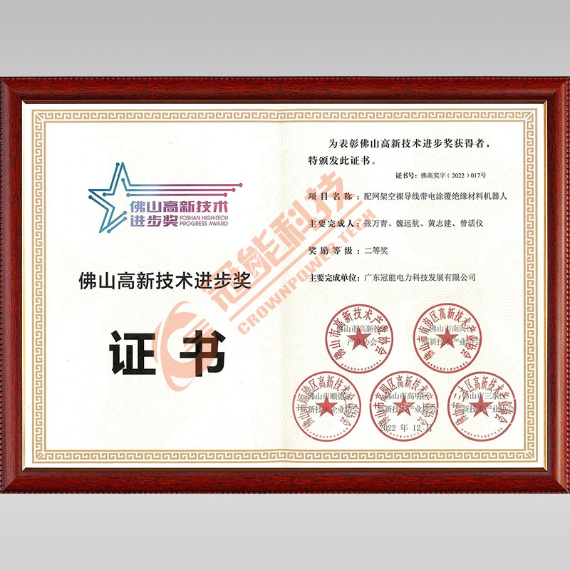 佛山高新技術(shù)進(jìn)步獎(jiǎng)