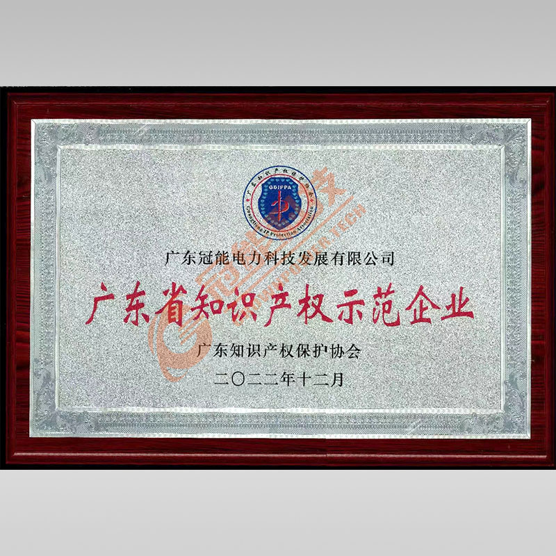 廣東省知識產(chǎn)權示范企業(yè)