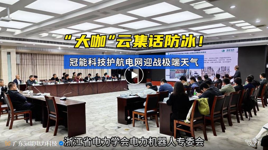 “大咖”云集話防冰！廣東冠能“智”力護(hù)航電網(wǎng)迎戰(zhàn)極端天氣